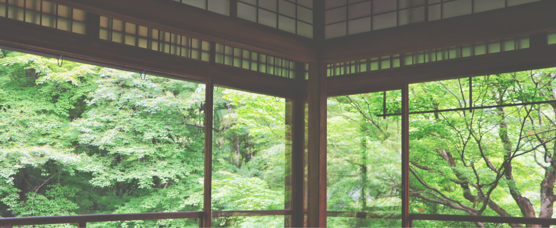 和室の窓から生い茂る緑が見えている写真
