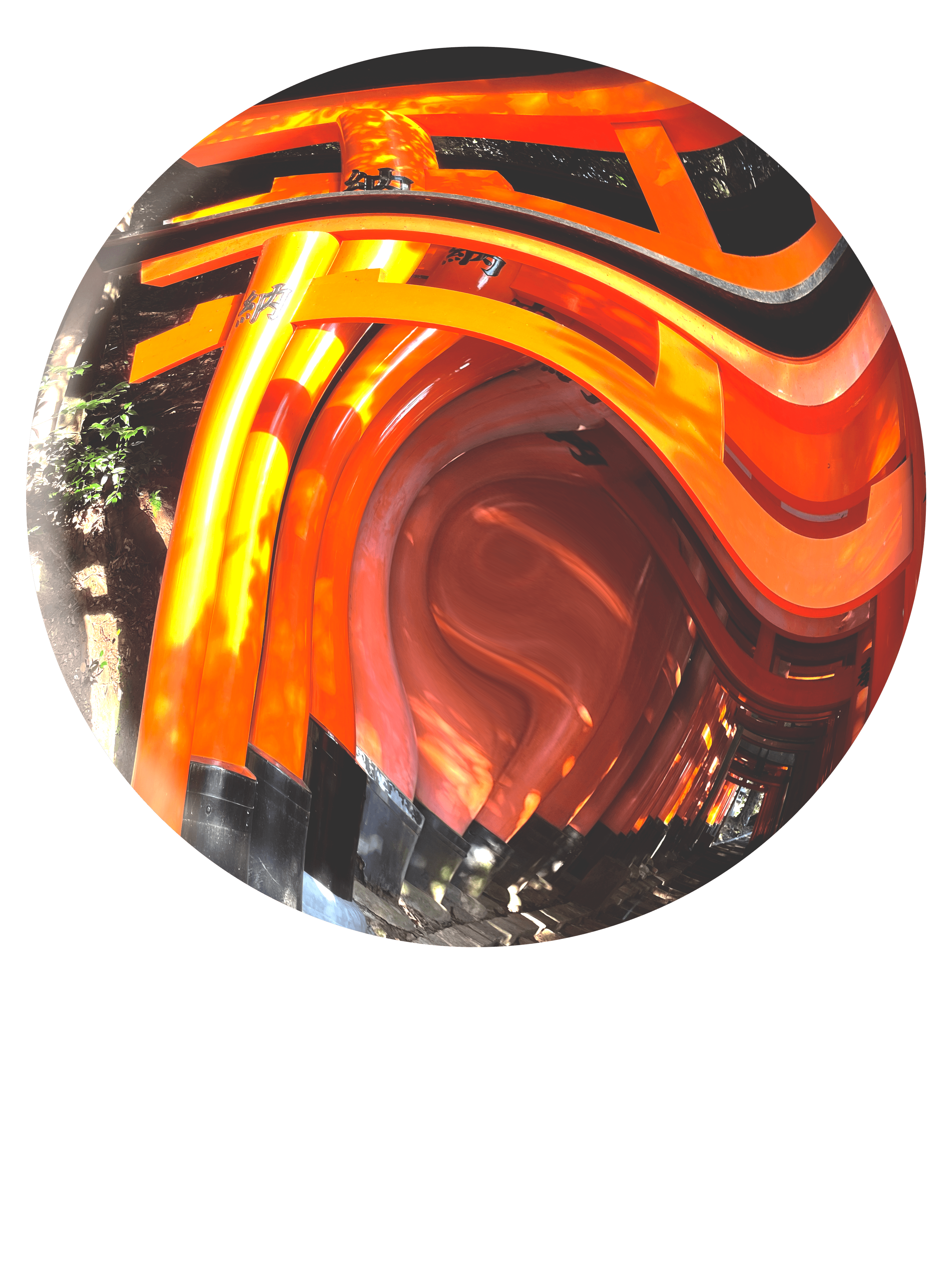 伏見稲荷の鳥居の画像が球体になっている画像